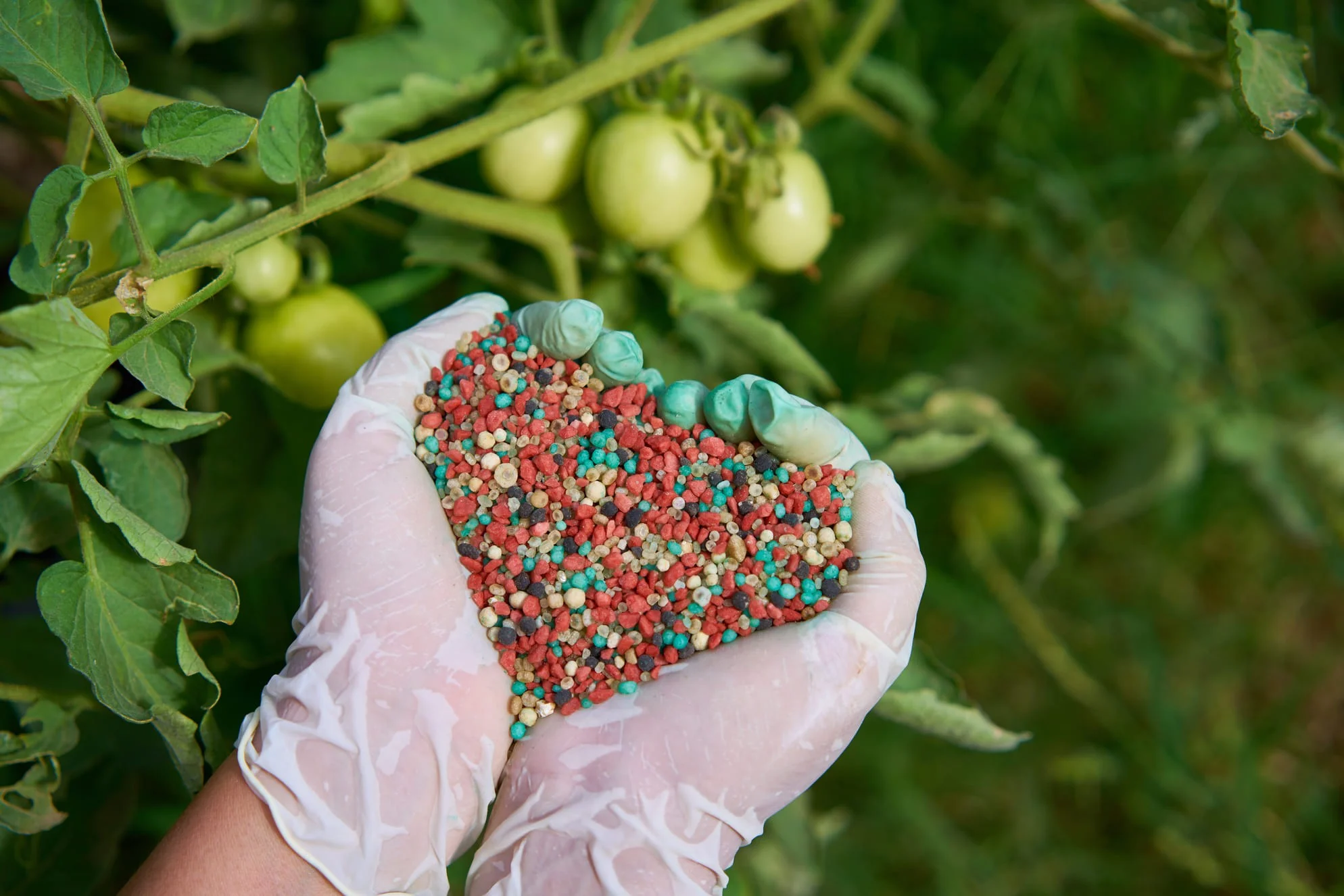 Complex fertilizers for sale